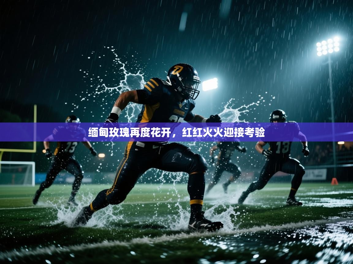 缅甸玫瑰再度花开，红红火火迎接考验  第1张