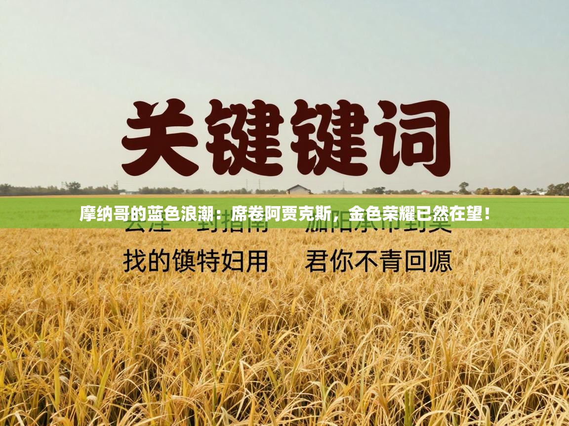 摩纳哥的蓝色浪潮：席卷阿贾克斯，金色荣耀已然在望！  第2张